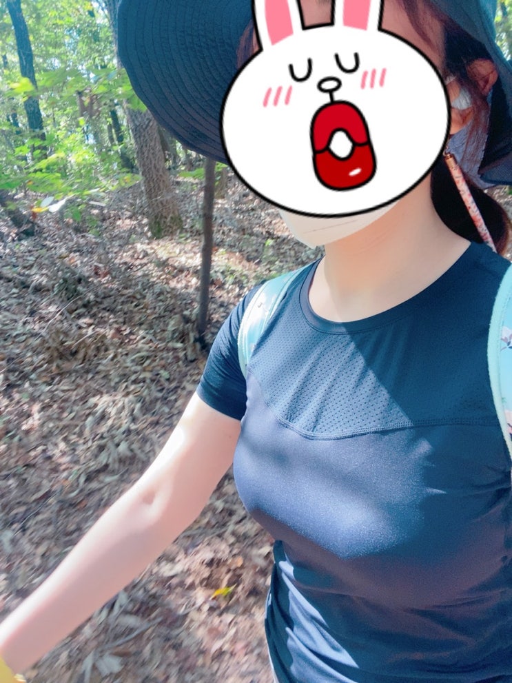 성남누비길 분당 불곡산 오르기 성남누비길 분당 불곡산 오르기