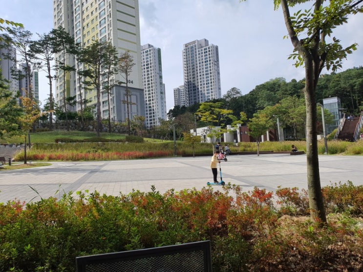  어느 일요일