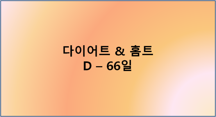  다이어트 & 홈트 D-66일