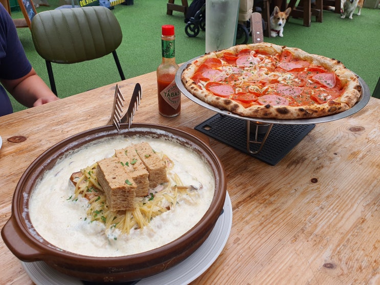  수원 애견동반 식당 인계동 파스타 맛집 PPK키친