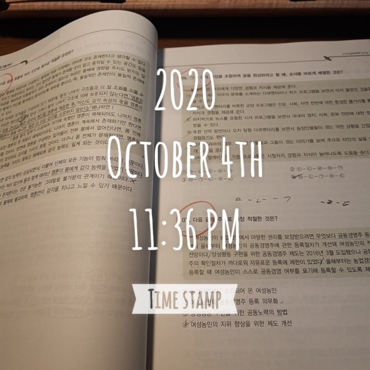 [코레일 필기] D-13
