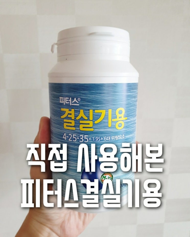  피터스 결실기용 비료