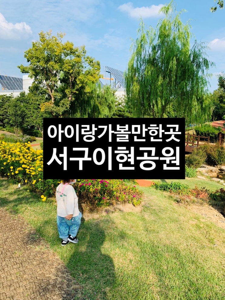  <아이랑가볼만한곳> 대구 서구 이현공원