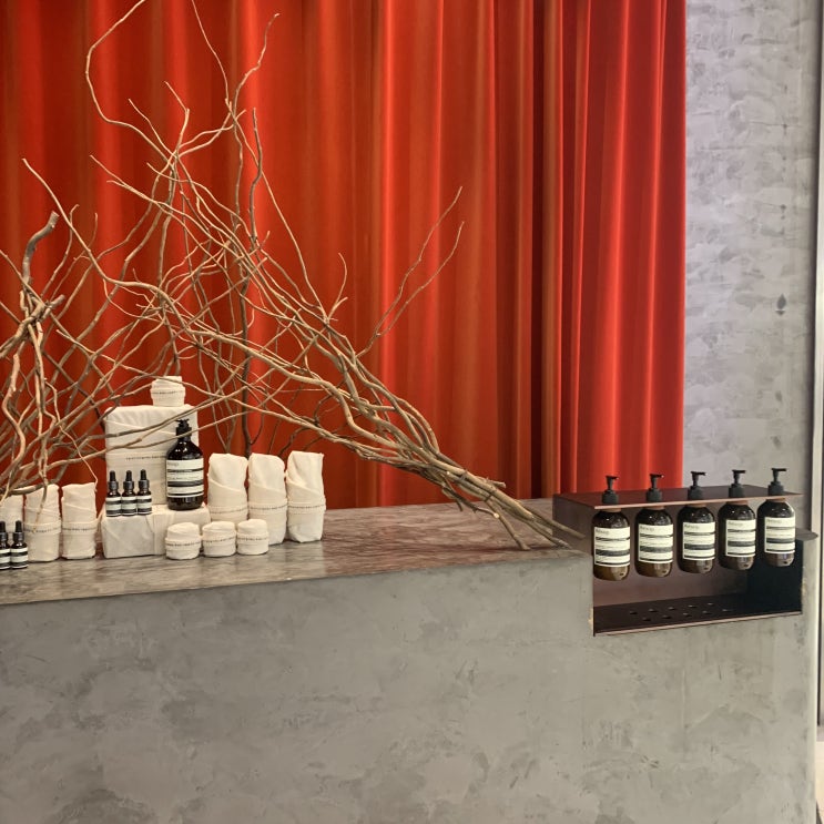  이솝(Aesop) 파슬리 씨드세럼 나도 써보자>.<