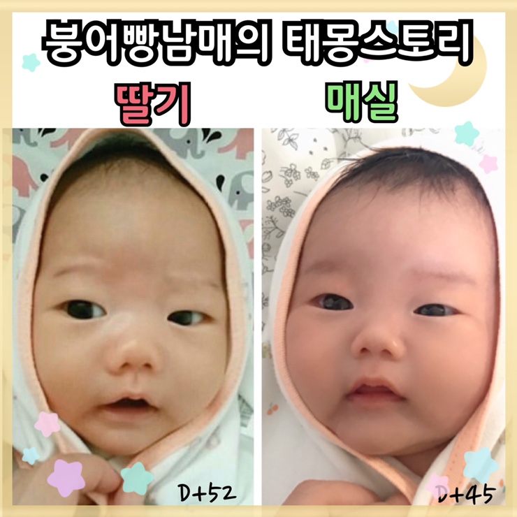  딸기 받는꿈 매실 잡는꿈 향이 특히 강했던 두아이 태몽 성별은 반전