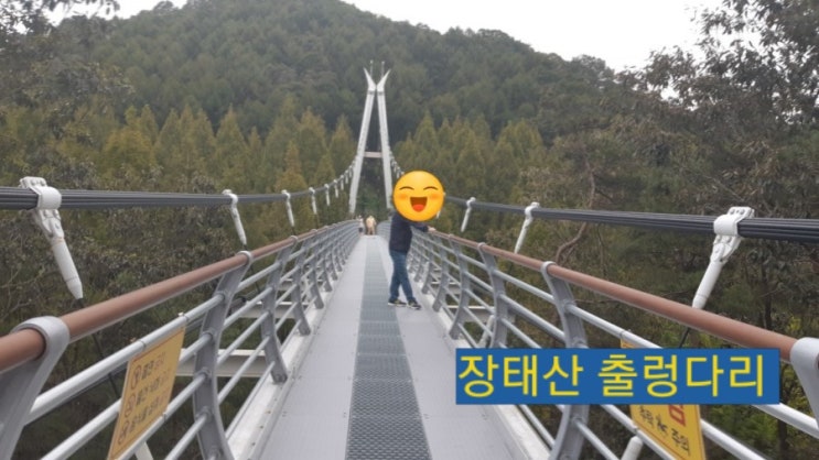  대전의명소 꼭 가봐야 하는곳~장태산자연휴양림 출렁다리 움찔움찔해요