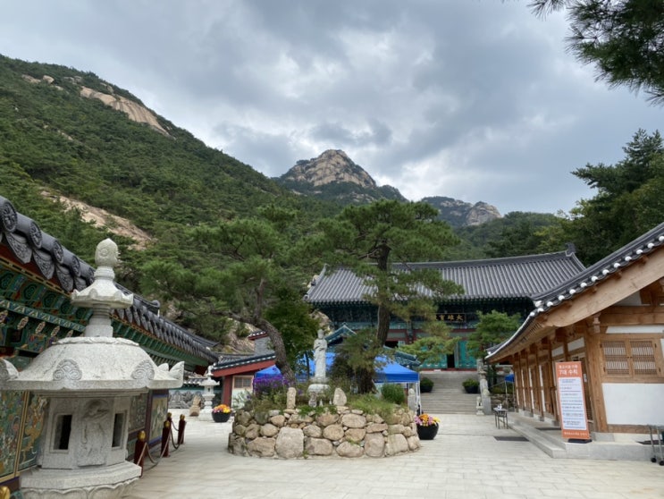  삼천사