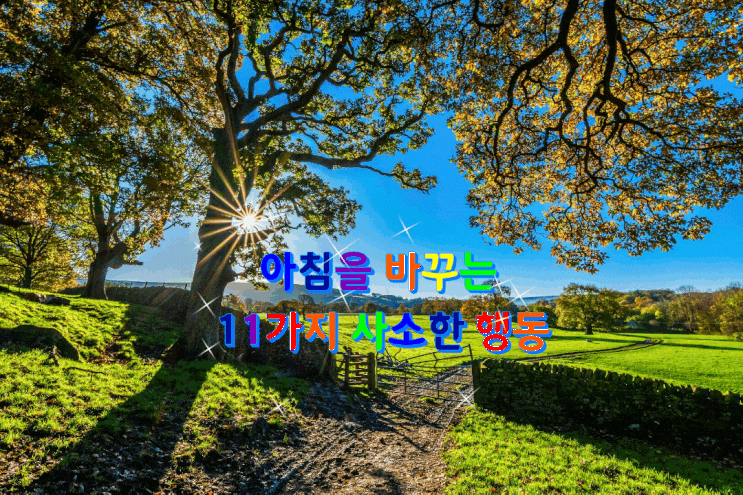  아침을 바꾸는 11가지 사소한 행동