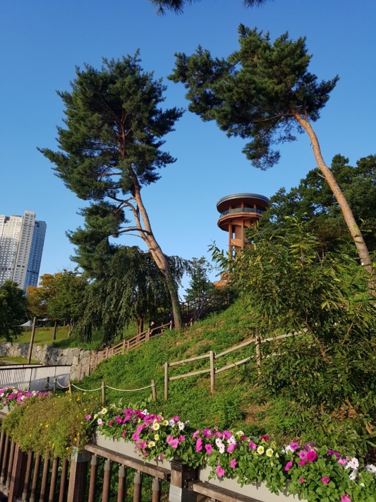 주민번호팔아요 개인정보 불법거래 3년새 2배 급증_유출된 개인정보 대부분 해외서 유통