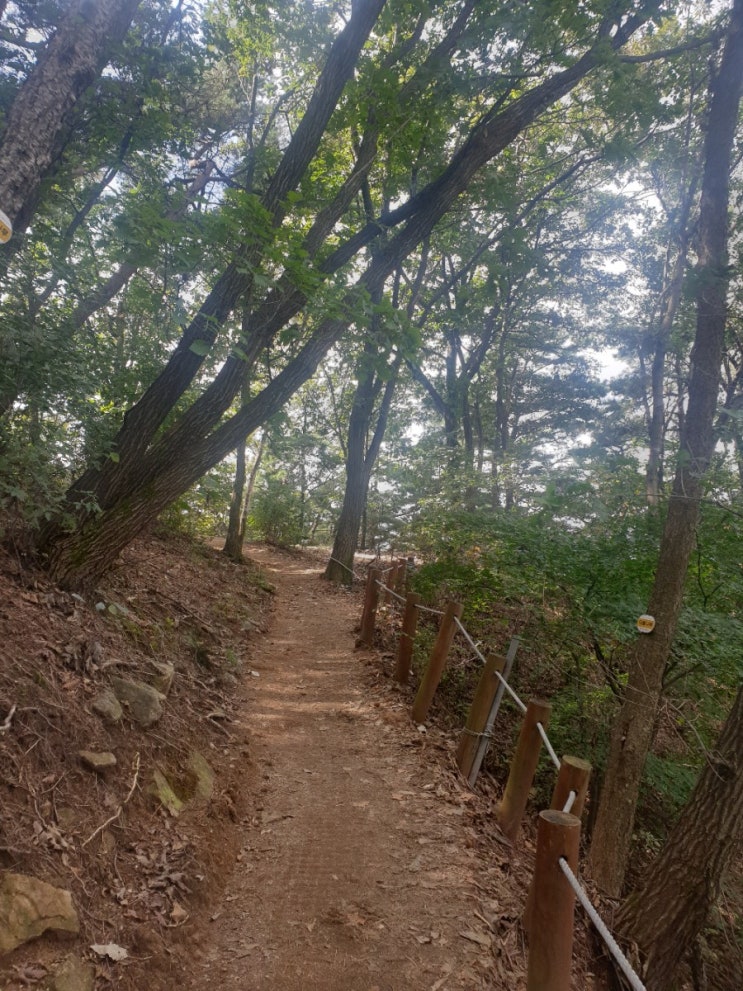  즐거운 하루