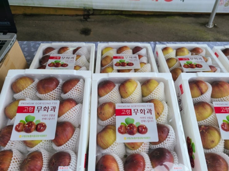  희수네 무화과 완판
