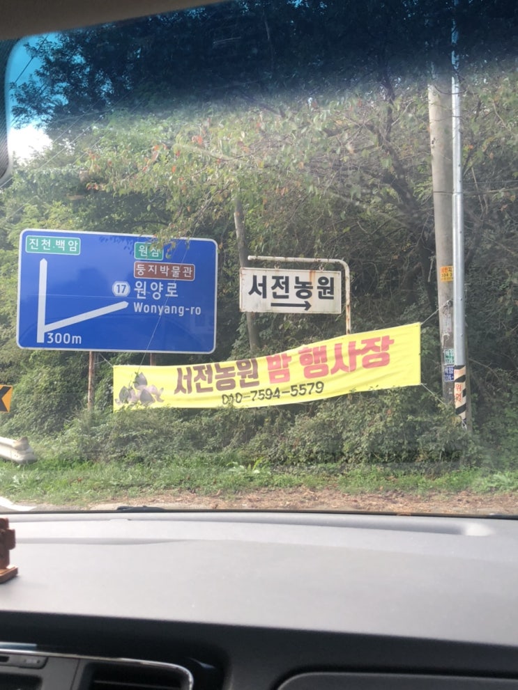  경기도 용인 서전농원에서  밤줍기체험