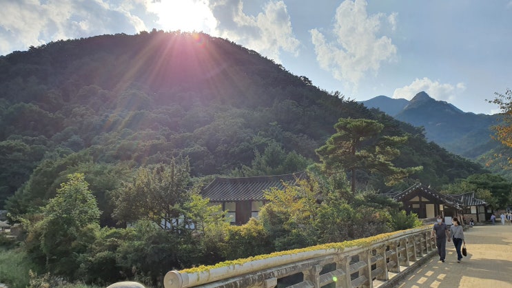  문경새재 도립공원 (영남제1관문) 영화 오픈세트장 킹덤!