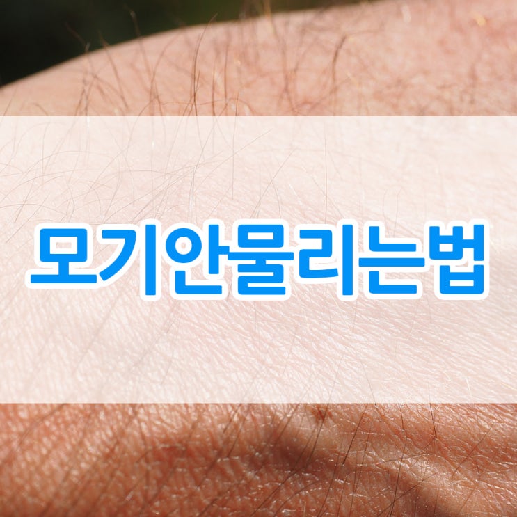  모기안물리는법 뭐가 있을까요?