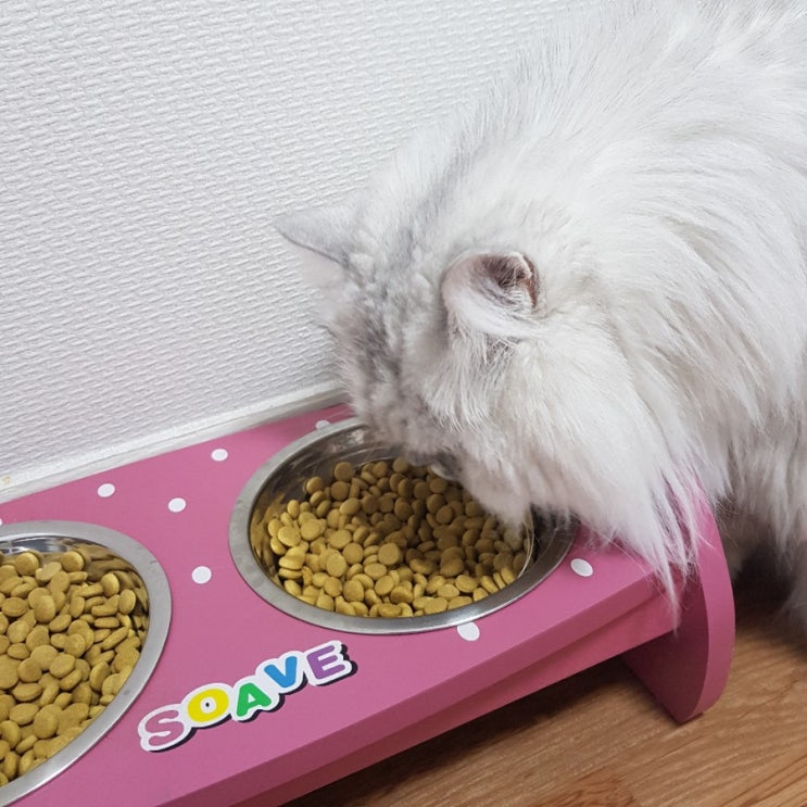  하림펫푸드 고양이 캣 사료 먹여보았어요.