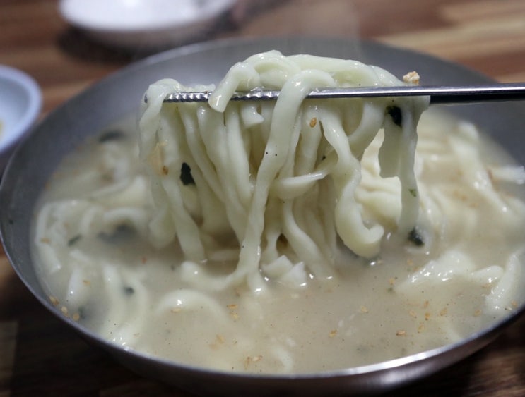  파주 문산 밀밭식당 칼국수 만두 비빔국수 솔직후기