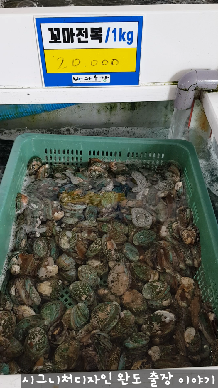 완도의 아름다운 경치와 생선구이 맛집 빙그레 식당 싱싱한 활전복 구입 방법 완도의 아름다운 경치와 생선구이 맛집 빙그레 식당 싱싱한 활전복 구입 방법