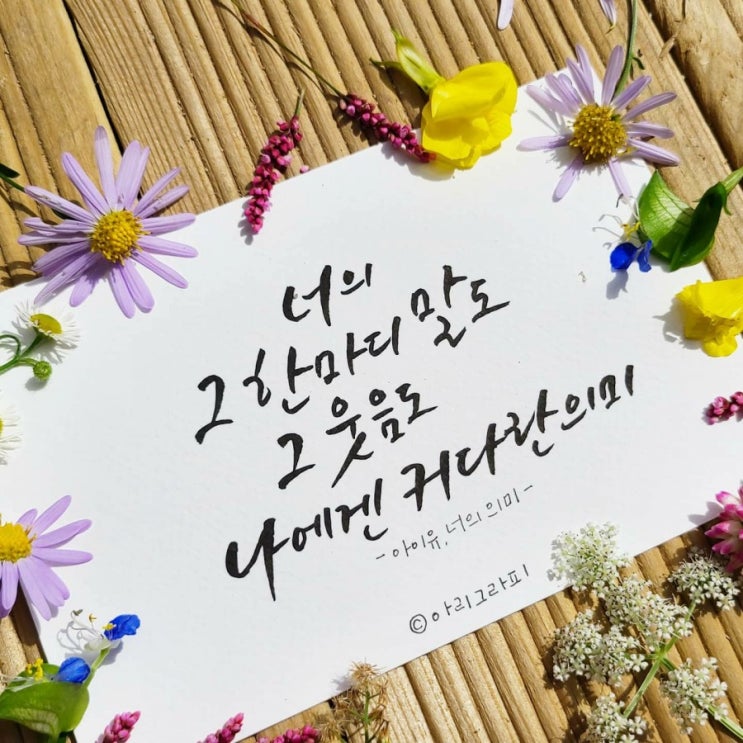  [캘리그라피] 가을에 듣기 좋은 노래 가사 쓰기