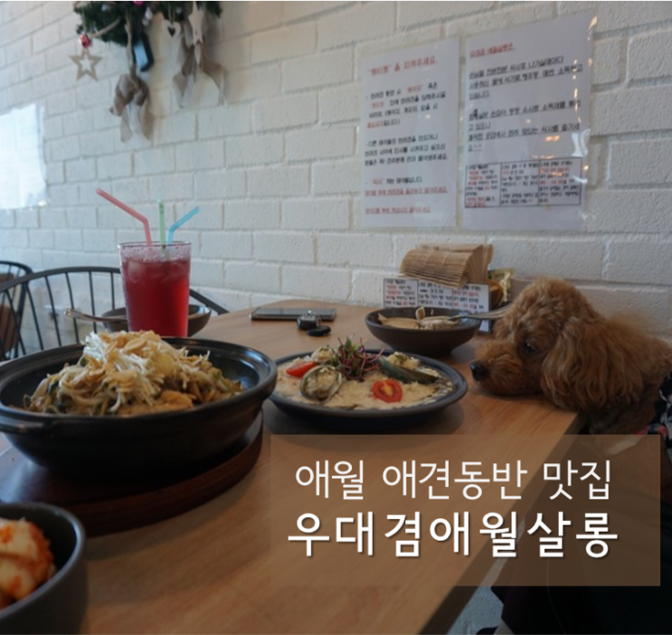 애월맛집 ] 우대겸애월살롱 : 애견동반 애월핫플레이스