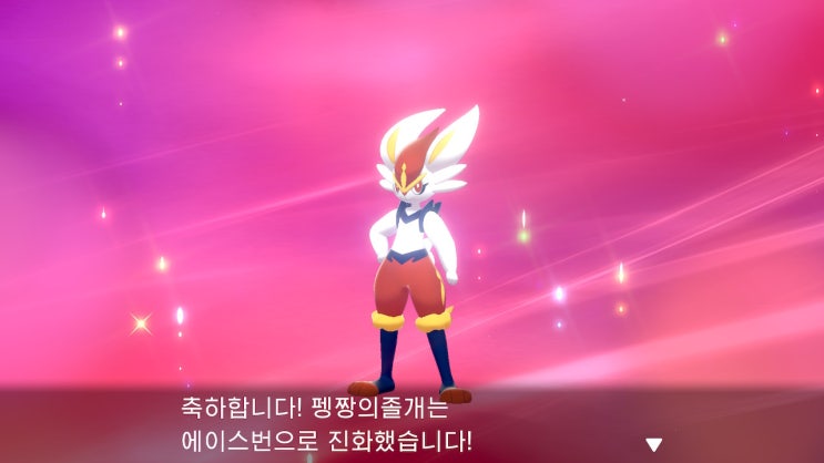  포켓몬스터 실드 : 래비풋 진화 에이스번 & 비트의 가라르 포니타
