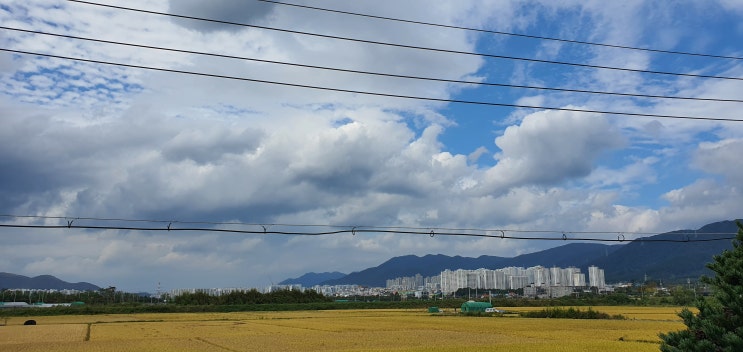  울산 호계의 풍경