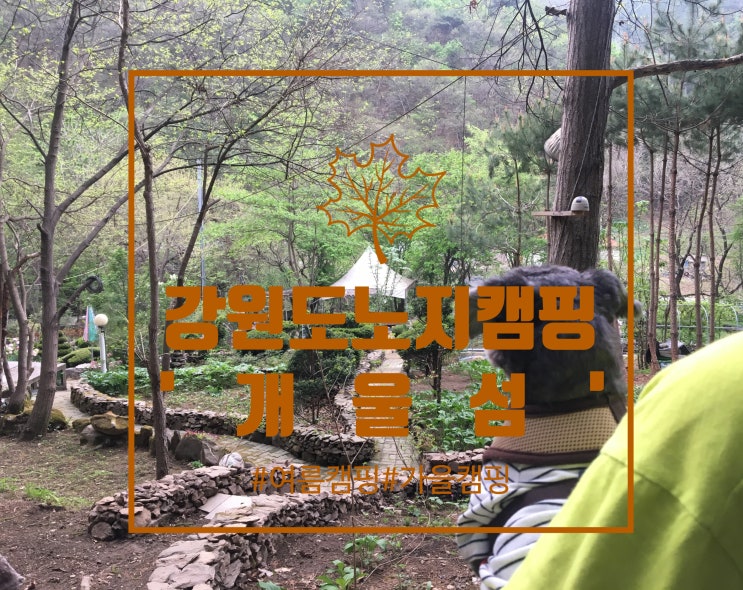  춘천노지캠핑 :) 오월리 '개울섬' 가족과 함께하는 가을캠핑