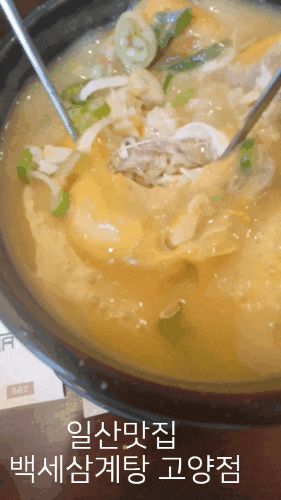  [고양/화정]일산맛집 백세삼계탕 삼계탕 제대로예요