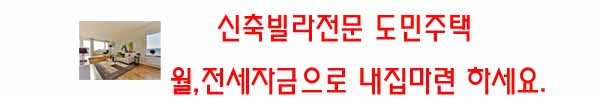  내유동 신축 빌라 분양,소개 가성비 좋은 신축빌라