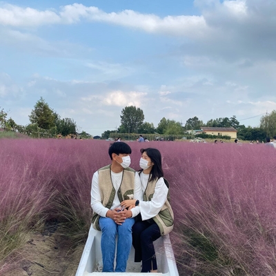  [ 평택 ㅣ 고덕 ] 바람새마을  핑크뮬리