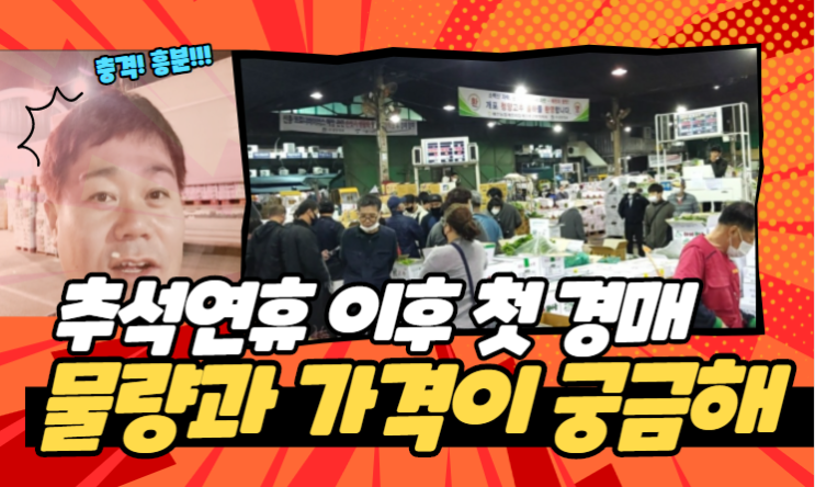  경매사가 간다! 추석연휴 이후 가락시장 채소경매 상황을 알려드립니다.