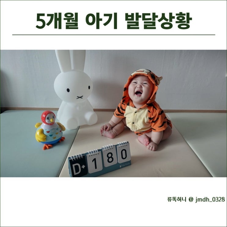  5개월 아기 발달상황 (몸무게, 분유양, 수면시간, 장난감)