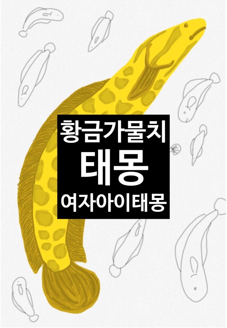  아이는 황금가물치태몽 여자아이태몽 엄마는 연꽃태몽 추억소환