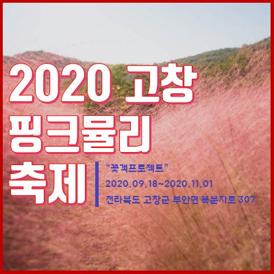  2020 고창 핑크뮬리 축제, 꽃객프로젝트 일정, 장소, 입장료 정보