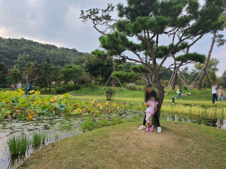  일산 라라브레드 플랜테이션점 드넓은 수목원에서 차 한 잔, #방문후기 #내돈내먹 #피크닉 #고양카페