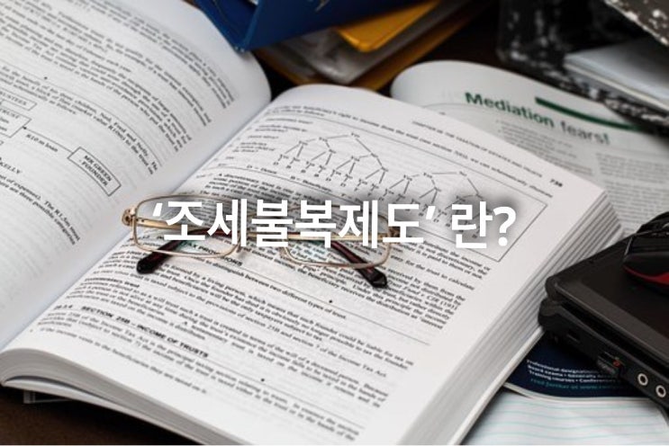  '조세불복제도'란?