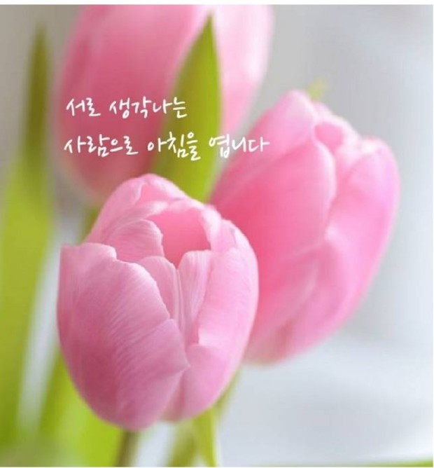  지금 부터라도 이런사람을 만들어갑시다. - "서로 생각나는 사람으로 아침을 엽니다"