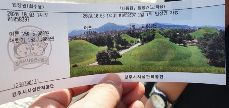  경주 천마총과 대릉원 역사 속 산책 한 시간