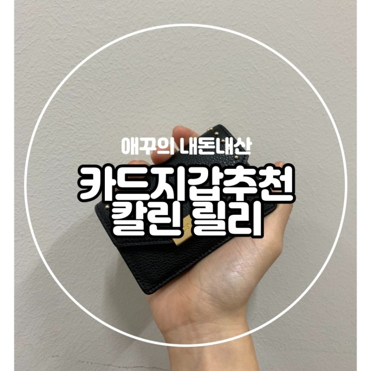  내돈내산 여자카드지갑 추천 한손에 쏙 들어오는 칼린 '릴리'