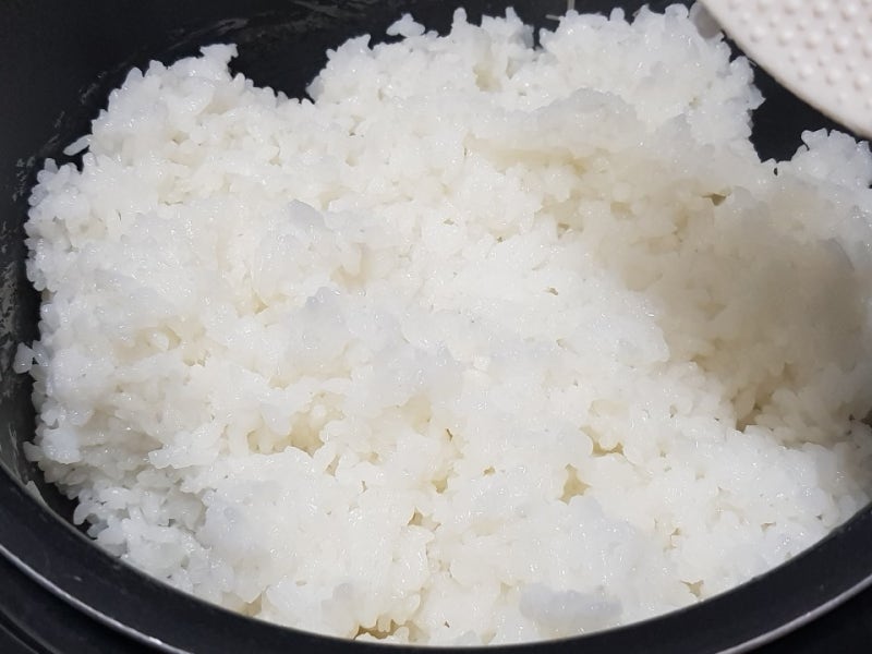 냉동밥 만들기, 다이소 냉동밥 보관용기 햇밥으로 편리해졌어요 : 네이버 블로그