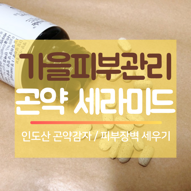  이너뷰티(Inner Beauty)는 인도산 곤약 세라미드로 챙겨보쟈! : 가을철 피부 수분장벽을 위한 작전개시?
