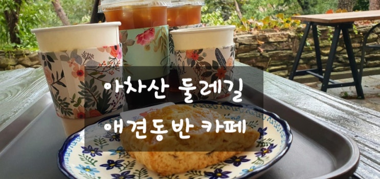  아차산 커피베리 야외 애견동반 카페
