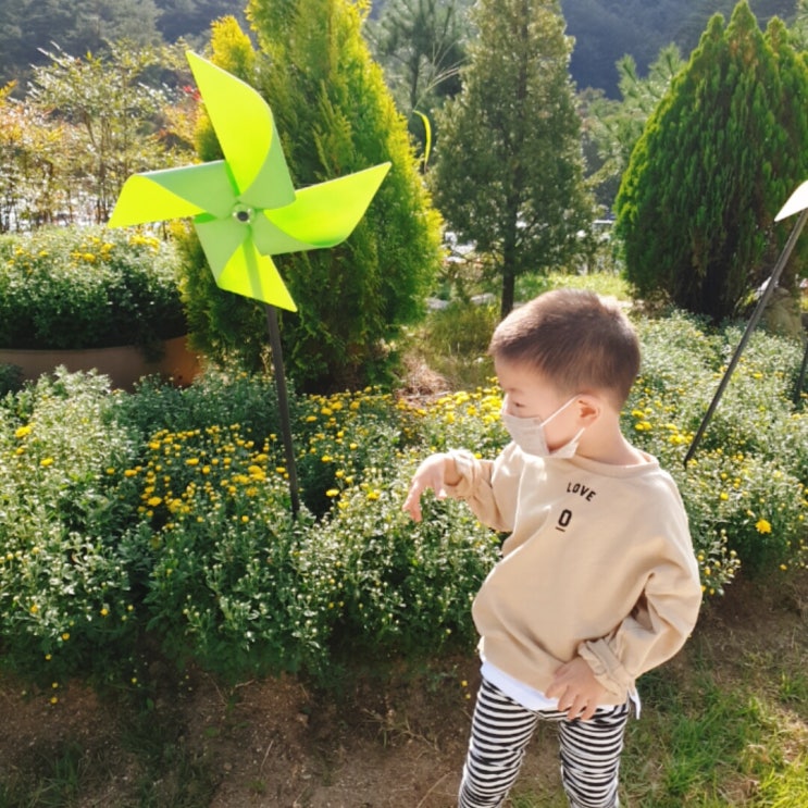  문경 새재 나들이 산책하기좋은곳