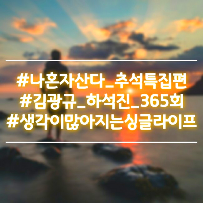  나혼자산다 추석특집 김광규 하석진을 보며 느끼는 현실자각타임