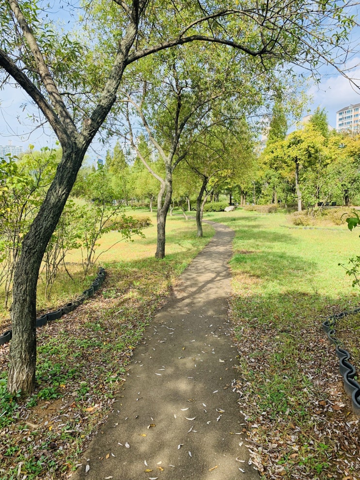  주말 오전 안산호수공원에서 산책하기!