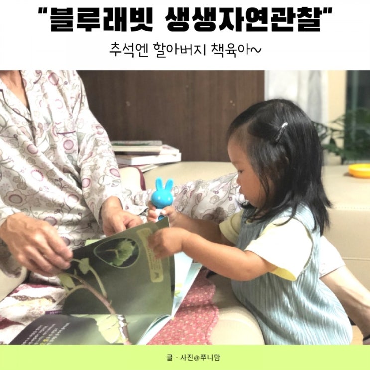  코로나로 나가지 못한다면? 블루래빗 자연관찰과 홈나들이해봐요.