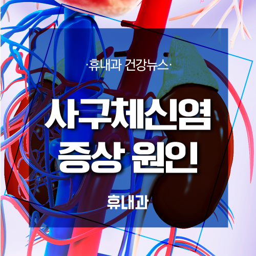  사구체신염 증상 원인의 혈액 염증과 혈뇨! 인천 신장내과