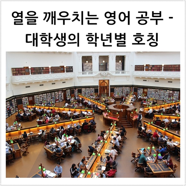  열을 깨우치는 영어 공부 - 대학생의 학년별 호칭