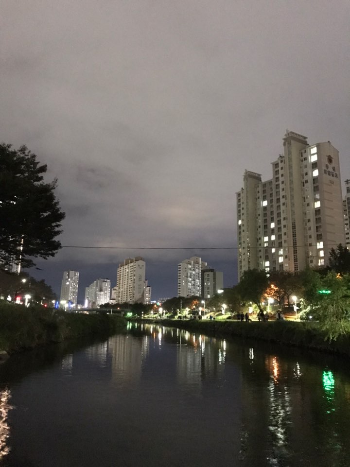  [부산] 온천천 산책