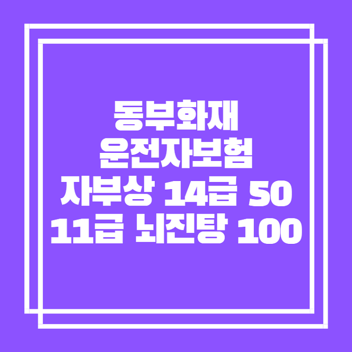  자동차사고부상치료비 동부 운전자보험에만 있는 특별함