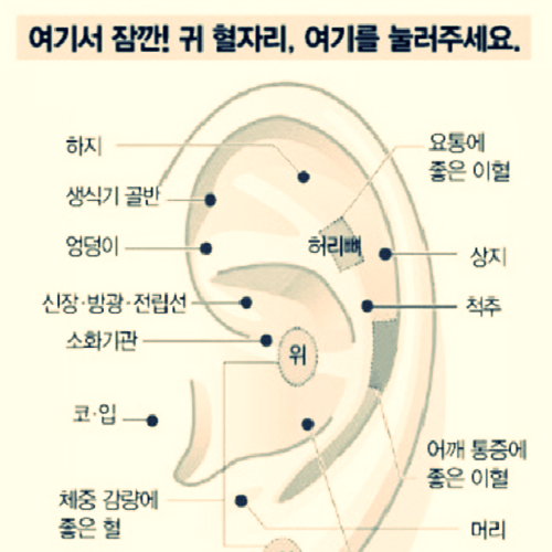  만병을 예방하는 건강에 너무 좋은 귀마사지